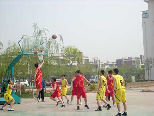 05.jpg